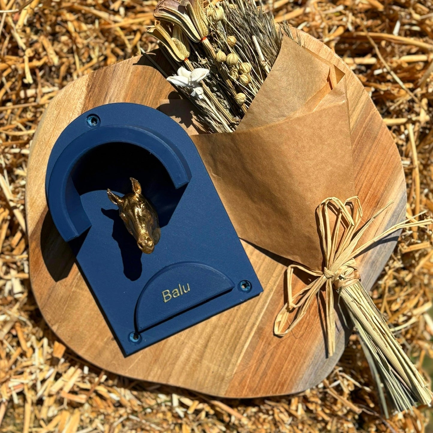 Halfter-/Trensenhalterung